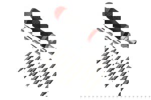 RAPTOR PRO TP 19 IN 1 RAT SD